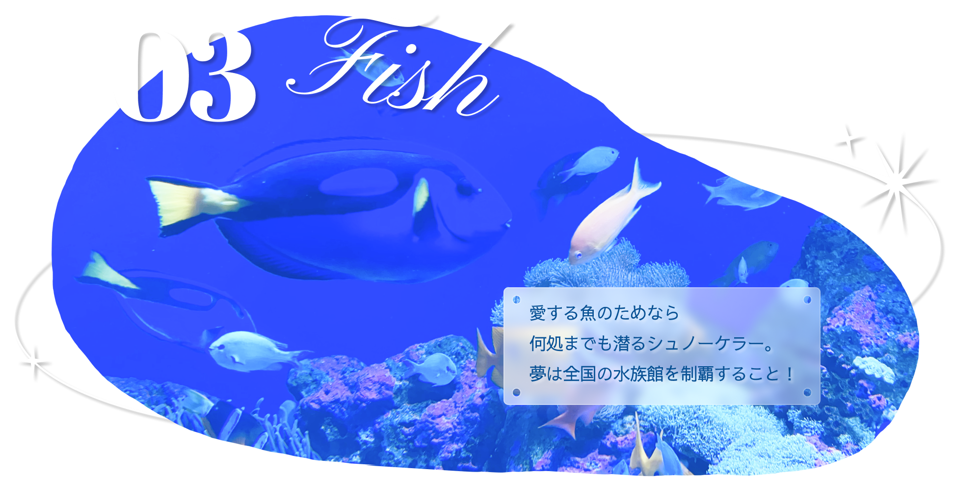 Fish
